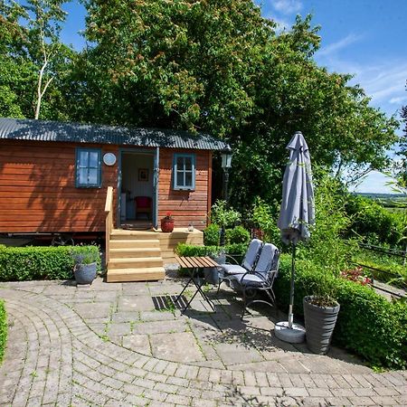 Holly Hut Shepherds Hut Jenkinstown Park Exterior photo