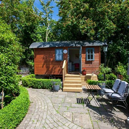 Holly Hut Shepherds Hut Jenkinstown Park Exterior photo
